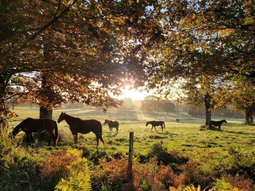 G�te De La Doucette