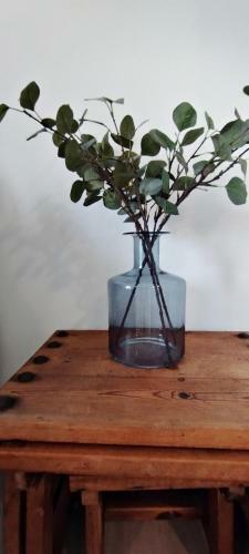 Apartamento Ap341 - Capri