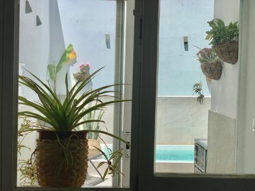 Apartamento Pintada 57