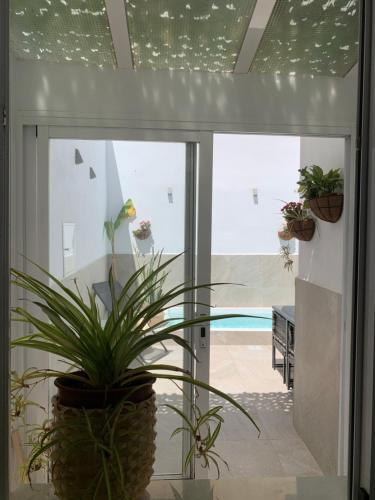 Apartamento Pintada 57