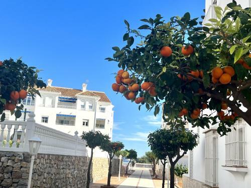Apartamento Edf. Fuentes B 1�t - Eurosur