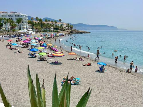 Apartamento Edf. Fuentes B 1�t - Eurosur