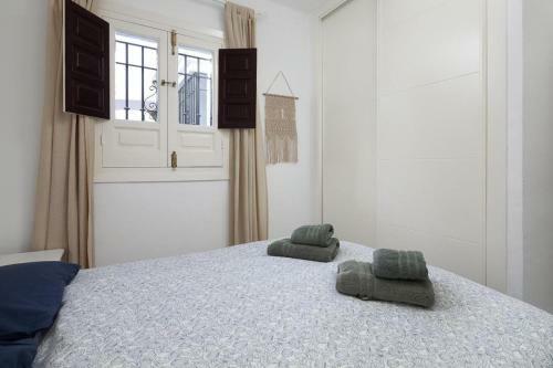 Apartamento Las Palmas 12a Oasis Properties