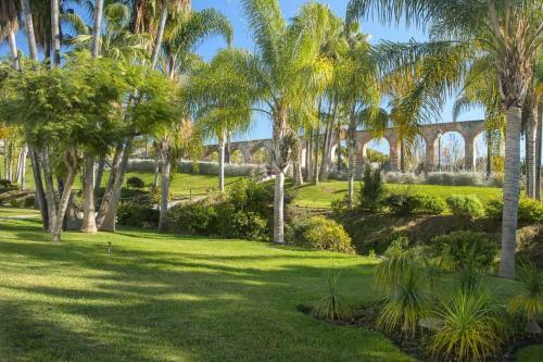 Apartamento Las Palmas 17b Oasis Properties