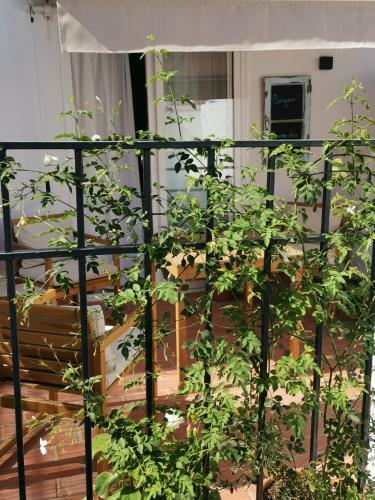 Apartamento Ana's Guest House Nerja