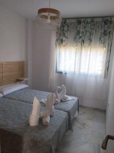 Apartamento Domus Aura