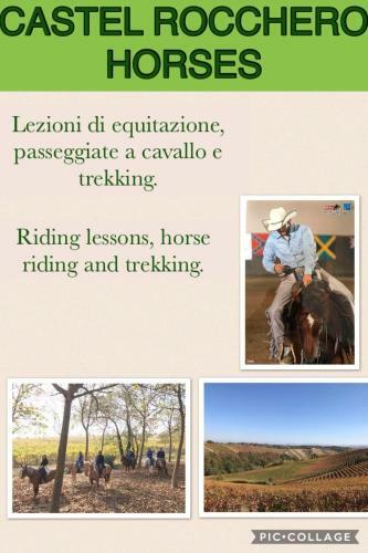 Bed & Breakfast La Lacia
