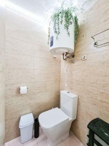 Apartamento Ol�mpico En Murcia
