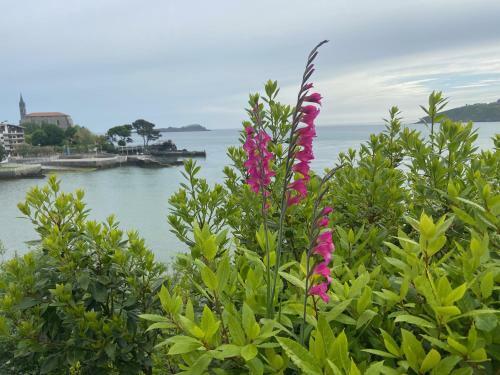 Villa Mundaka Beachfront House