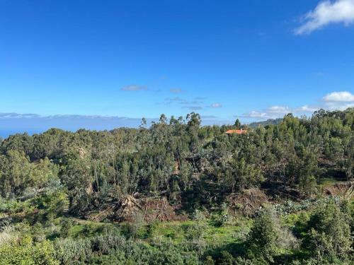 Apartamento Casa Rural Los Tilos Betancor