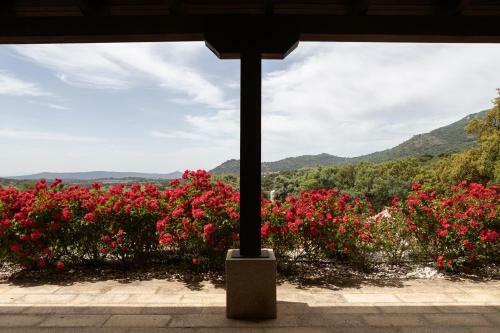 Hotel Resort H�pico El Hinojal
