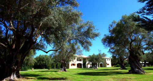 Apartamento Olivastro Villa