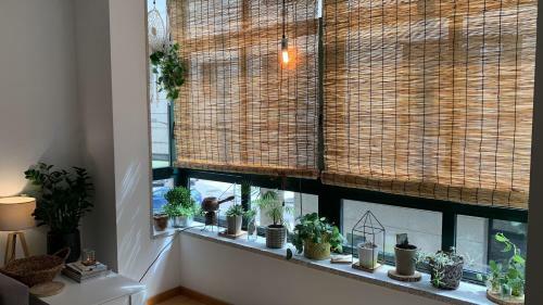 Sweet Apartment Balneario.