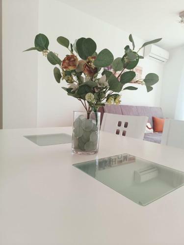 Apartamento Piso Vista Bella