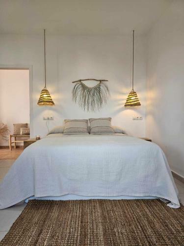 Espacioso Apartamento Con Hermosa Terraza