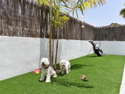 Holiday Home In Puerto Rico