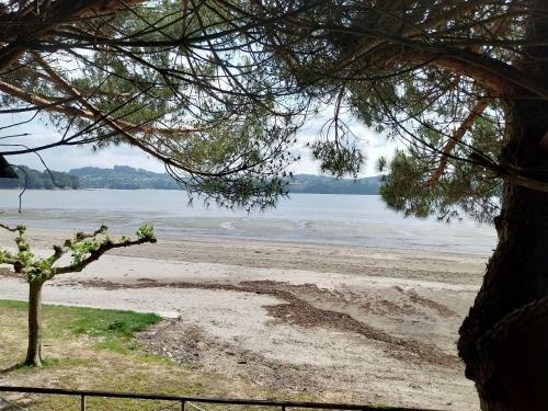 Apartamento Adiva Praia Mi�o