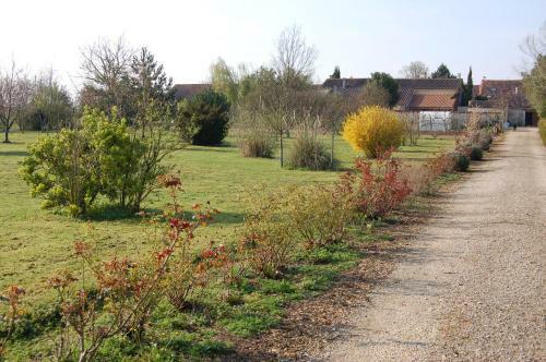 Bed & Breakfast La Maison Des Grands Bambous