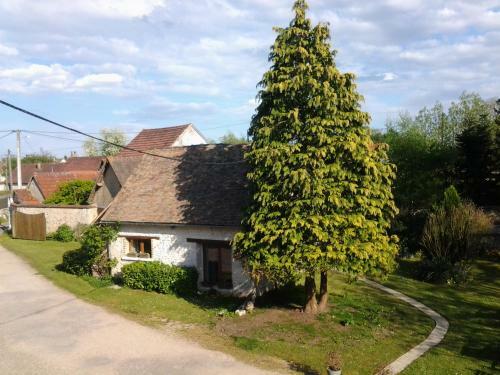 Bed & Breakfast Forest Farm