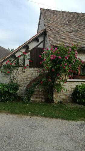 Bed & Breakfast Forest Farm