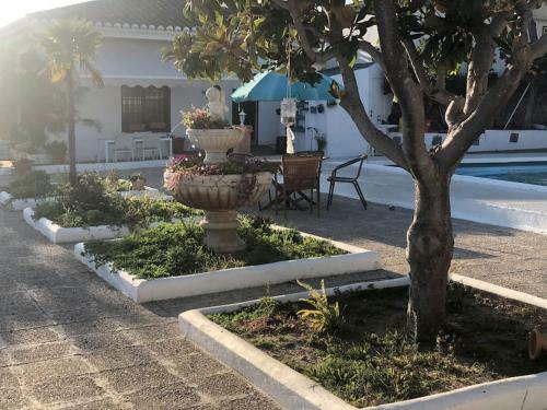 Casa Rural-finca La Almarchada. Mijas