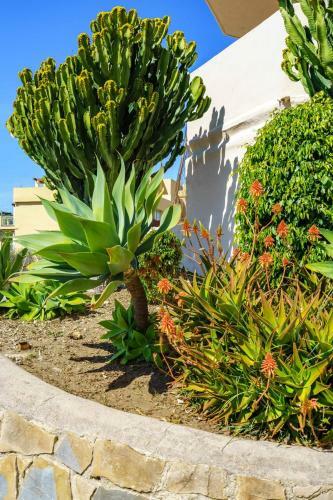 Apartamento Tranquil Sea View Haven: 2br With Terracepool
