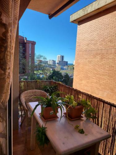 Apartamento Tecnocampus