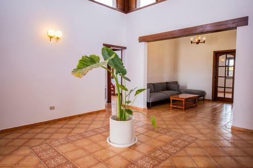 Casa Origen