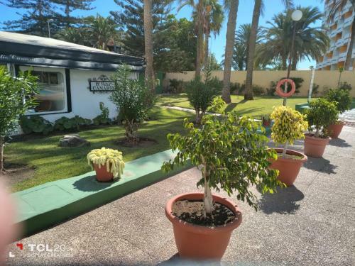 Apartamento Casa Maya