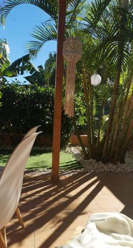 Wohlf�hloase In Maspalomas