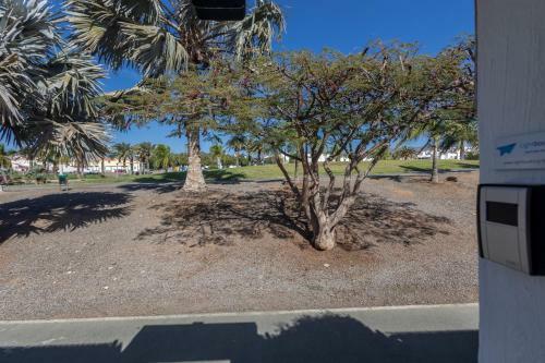 Lightbooking Las Palomas Playa Del Ingles