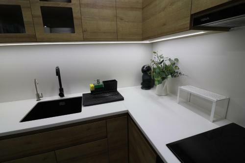 Lovelly Renovated Apartment