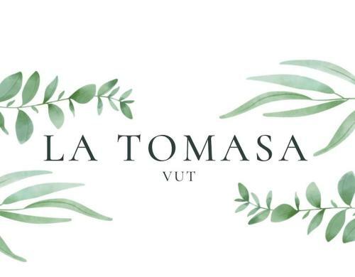 Apartamento La Tomasa