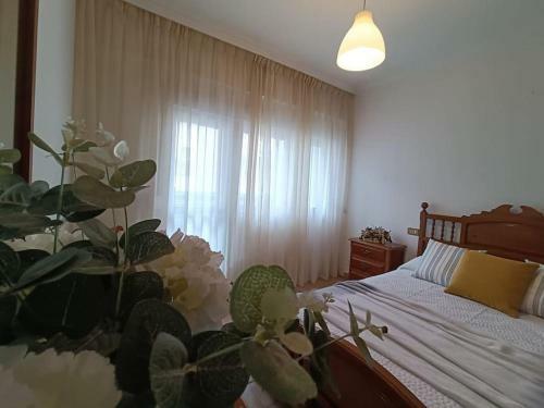 Apartamento La Tomasa