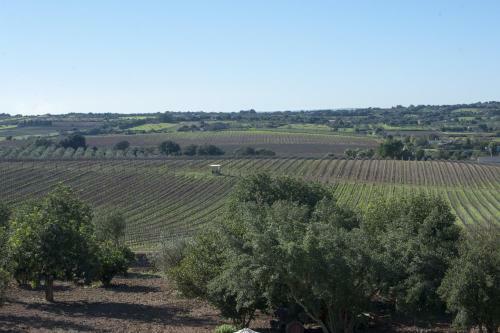 Villa Canelles - Manacor