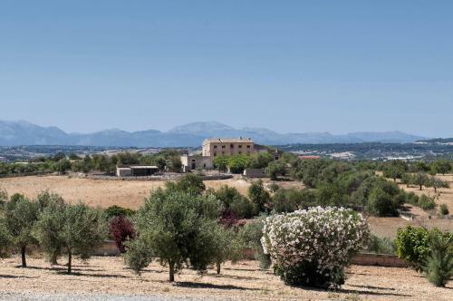 Villa Canelles - Manacor