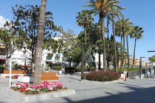 Apartamento En El Centro de San Pedro de Alc�ntara