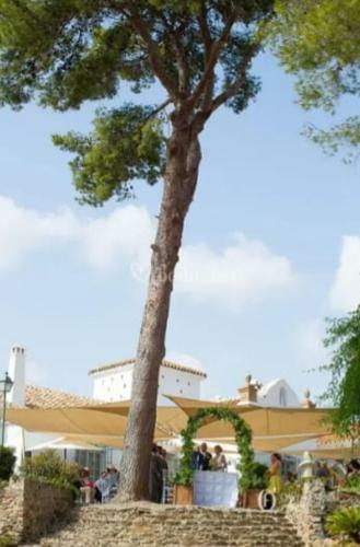 Agroturismo Cortijo Correa