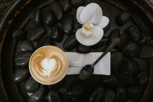 Hostal Hc6 Boutique Marbella - Adults Only
