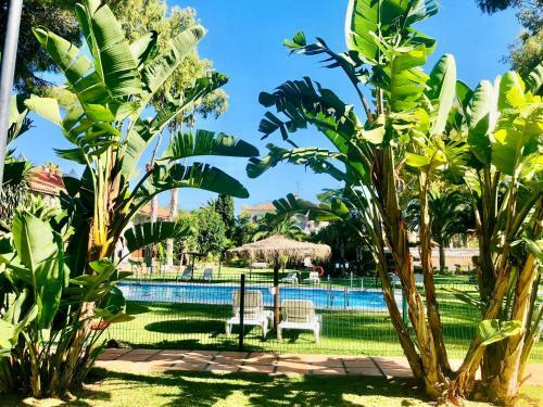 Puerto Banus Apartamento Lola
