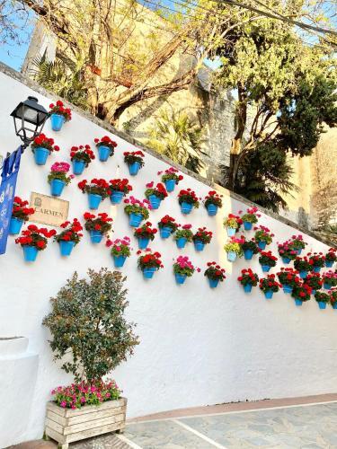 Apartamento Marbella Old Town-300m From The Beach
