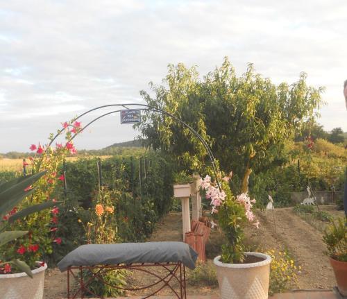 Bed & Breakfast La Nouste Maisoun