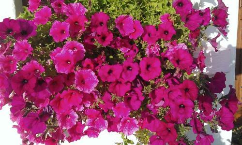 Hotel H�tel La Vall�e