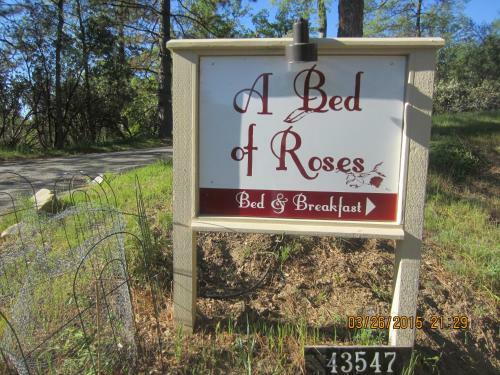 A Bed Of Roses