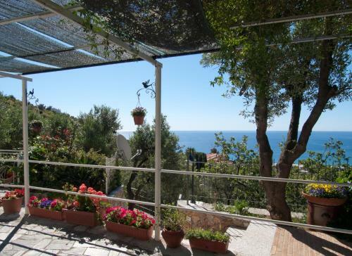 Bed & Breakfast Tra Gli Ulivi