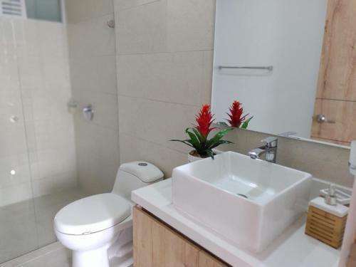 Habitacion Nova Condominio Plus Cali