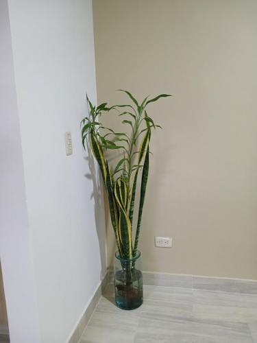 Moderno Condominio