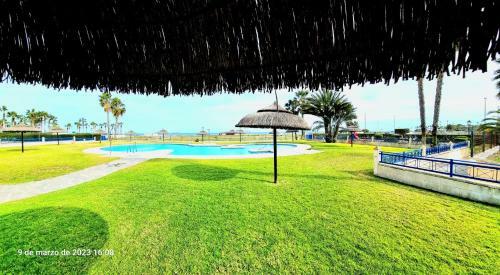Apartamento �tico Con Solarium Veramar 4 Dos Dormitorios En 1� L�nea de Playa