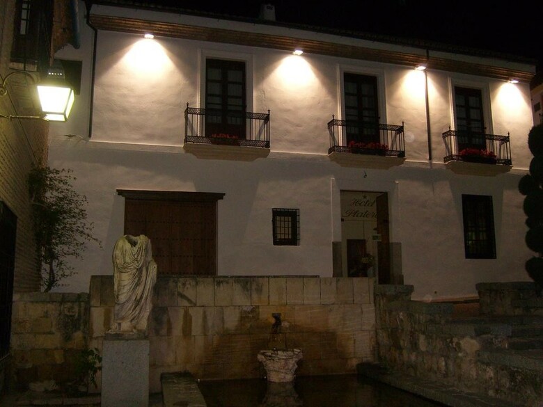 Hotel Plateros