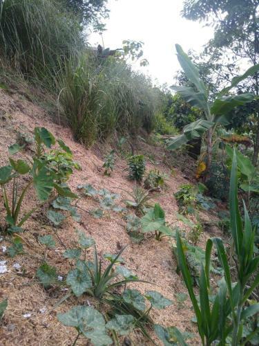 Reserva Natural Zarand�